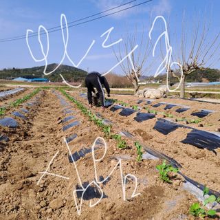 알 수 없음님의 자유주제 · 자유게시판 작성글 사진