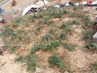 시금치6781님의 자유주제 · 자유게시판 작성글 사진