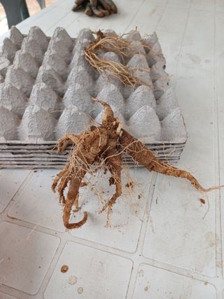 윤무섭님의 자유주제 · 자유게시판 작성글 사진