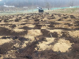 들꽃농장님의 자유주제 · 자유게시판 작성글 사진