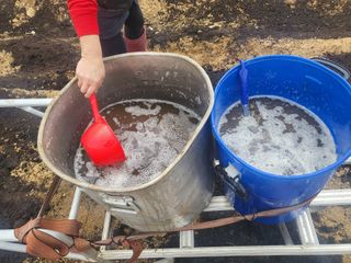 들꽃농장님의 자유주제 · 자유게시판 작성글 사진