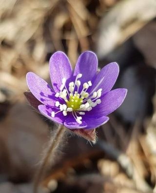 들꽃농장님의 자유주제 · 자유게시판 작성글 사진