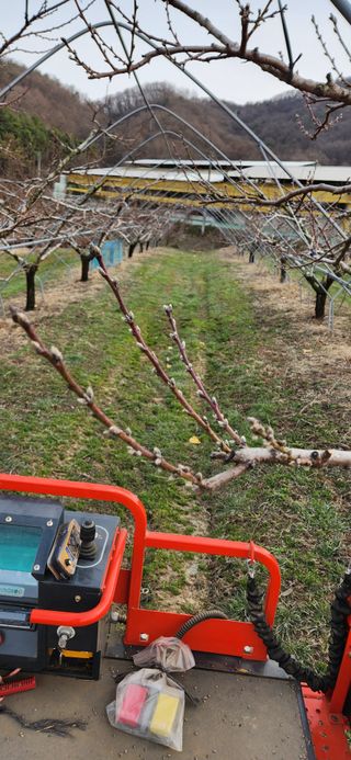 김은경님의 복숭아 · 영농일지 작성글 사진