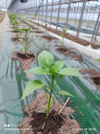 김영인님의 자유주제 · 자유게시판 작성글 사진