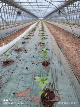 김영인님의 자유주제 · 자유게시판 작성글 사진