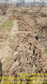 팜모닝 자유주제·사진전 게시글 이미지