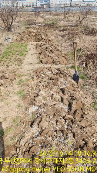 황동 여순모님의 자유주제 · 사진전 작성글 사진