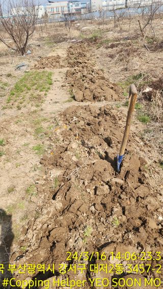 황동 여순모님의 자유주제 · 사진전 작성글 사진