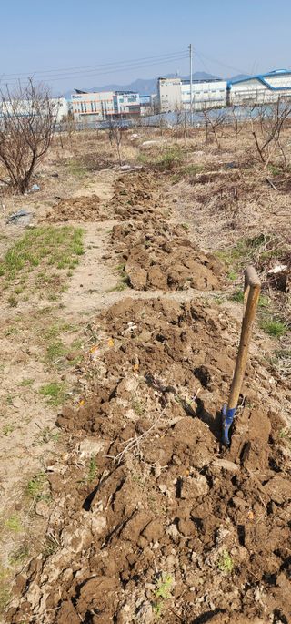 황동 여순모님의 자유주제 · 사진전 작성글 사진