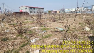 황동 여순모님의 자유주제 · 사진전 작성글 사진