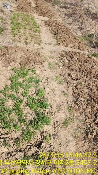 황동 여순모님의 자유주제 · 사진전 작성글 사진