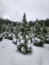 팜모닝 · 게시글 이미지