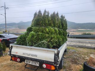 진도힐링농원님의 작성글 사진