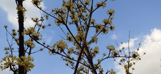 달맛햇복숭아농원님의 자유주제 · 사진전 작성글 사진