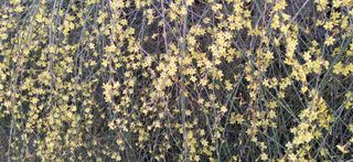 달맛햇복숭아농원님의 자유주제 · 사진전 작성글 사진