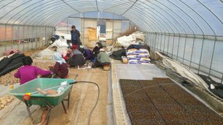 우인팜 전영옥입니다님의 자유주제 · 칭찬해요 작성글 사진