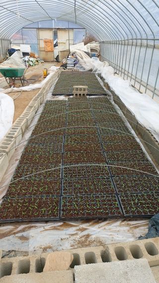 우인팜 전영옥입니다님의 자유주제 · 칭찬해요 작성글 사진