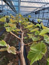 팜모닝 자유주제·자유게시판 게시글 이미지