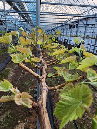 정재현님의 자유주제 · 자유게시판 작성글 사진