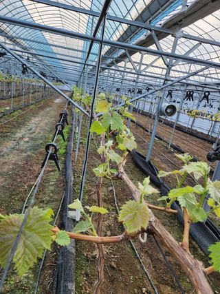 정재현님의 자유주제 · 자유게시판 작성글 사진