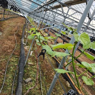 정재현님의 자유주제 · 자유게시판 작성글 사진