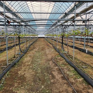 정재현님의 자유주제 · 자유게시판 작성글 사진