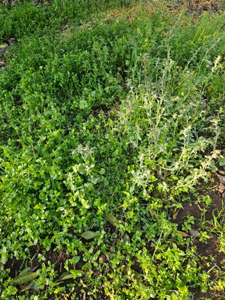 새달귤농장님의 귤 · 영농일지 작성글 사진