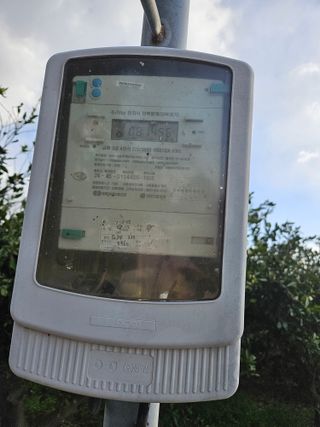 새달귤농장님의 귤 · 영농일지 작성글 사진