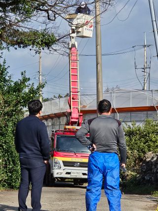 새달귤농장님의 귤 · 영농일지 작성글 사진