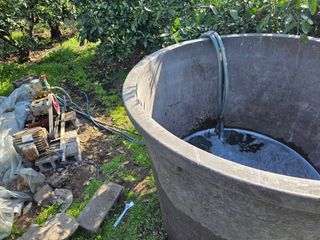 새달귤농장님의 귤 · 영농일지 작성글 사진