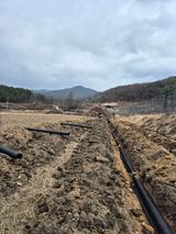 팜모닝 사과·영농일지 게시글 이미지