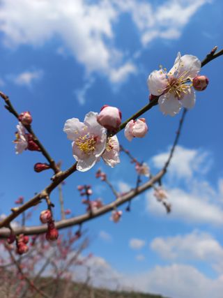 갑산 아리랑님의 자유주제 · 사진전 작성글 사진