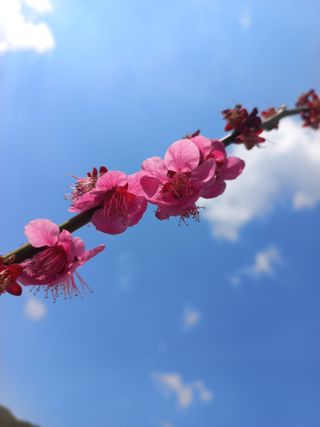 갑산 아리랑님의 자유주제 · 사진전 작성글 사진