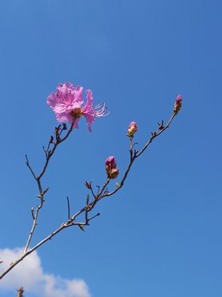 갑산 아리랑님의 자유주제 · 사진전 작성글 사진