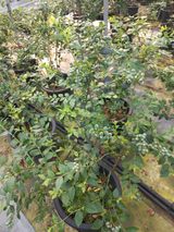 팜모닝 자유주제·자유게시판 게시글 이미지