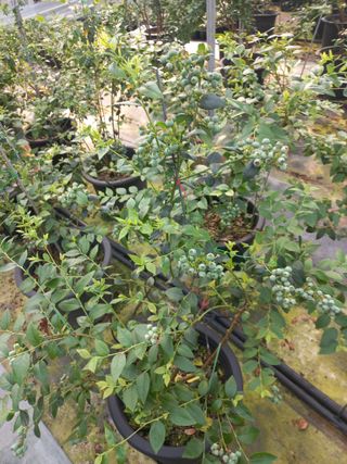 하늘농원님의 자유주제 · 자유게시판 작성글 사진