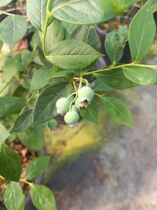 하늘농원님의 자유주제 · 자유게시판 작성글 사진