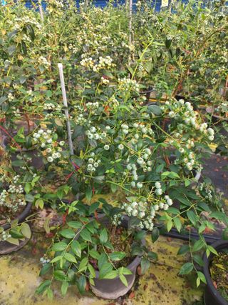 하늘농원님의 자유주제 · 자유게시판 작성글 사진