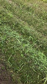 팜모닝 자유주제·자유게시판 게시글 이미지