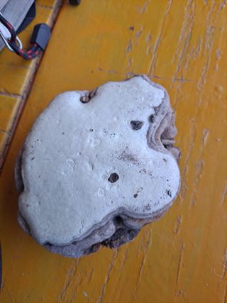 박미스터님의 자유주제 · 자유게시판 작성글 사진