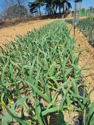 ja72850911님의 자유주제 · 자유게시판 작성글 사진