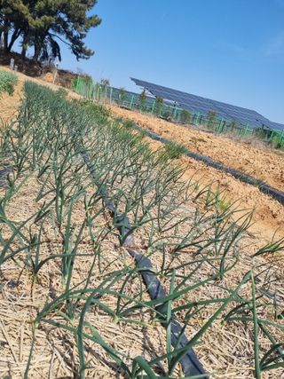 ja72850911님의 자유주제 · 자유게시판 작성글 사진