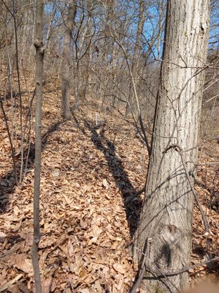 골탄님의 기타작물 · 영농일지 작성글 사진