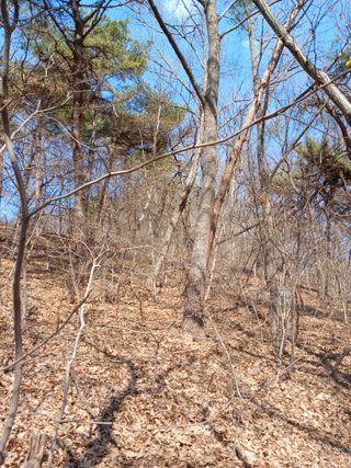 골탄님의 기타작물 · 영농일지 작성글 사진