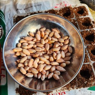 김은경님의 자유주제 · 자유게시판 작성글 사진