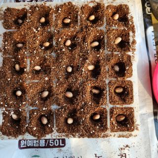 김은경님의 자유주제 · 자유게시판 작성글 사진