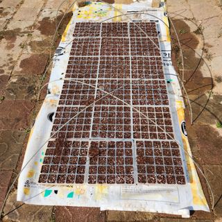 김은경님의 자유주제 · 자유게시판 작성글 사진