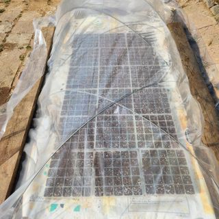 김은경님의 자유주제 · 자유게시판 작성글 사진