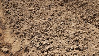 이영주님의 농사, 무엇이든 물어보세요! · 참여글 작성글 사진