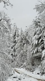 팜모닝 자유주제·사진전 게시글 이미지